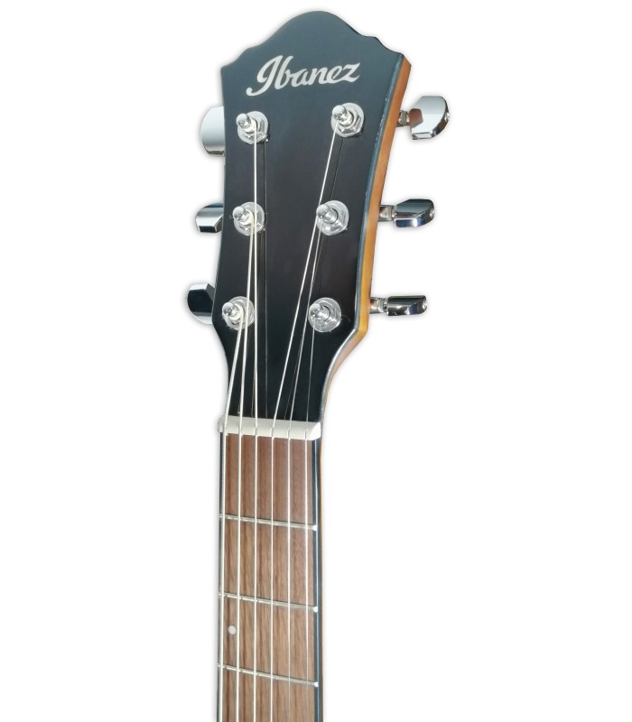 Cabeça da guitarra eletroacústica Ibanez modelo AEWC11 DVS