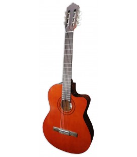 Foto de la guitarra clásica Ashton modelo CG44CEQAM con cutaway y ecualizador