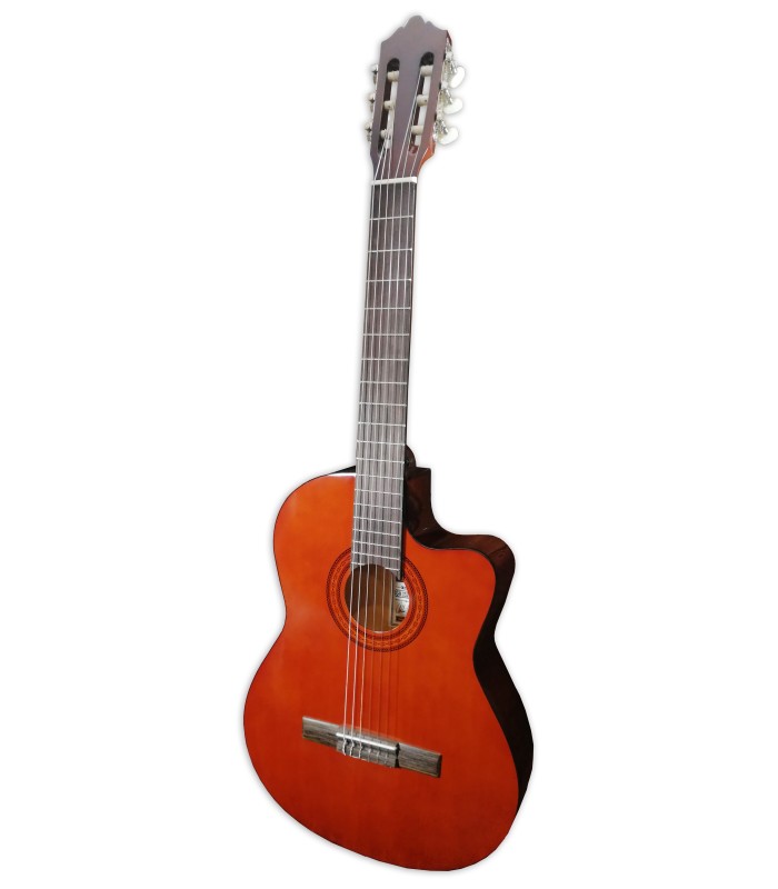 Foto de la guitarra clásica Ashton modelo CG44CEQAM con cutaway y ecualizador