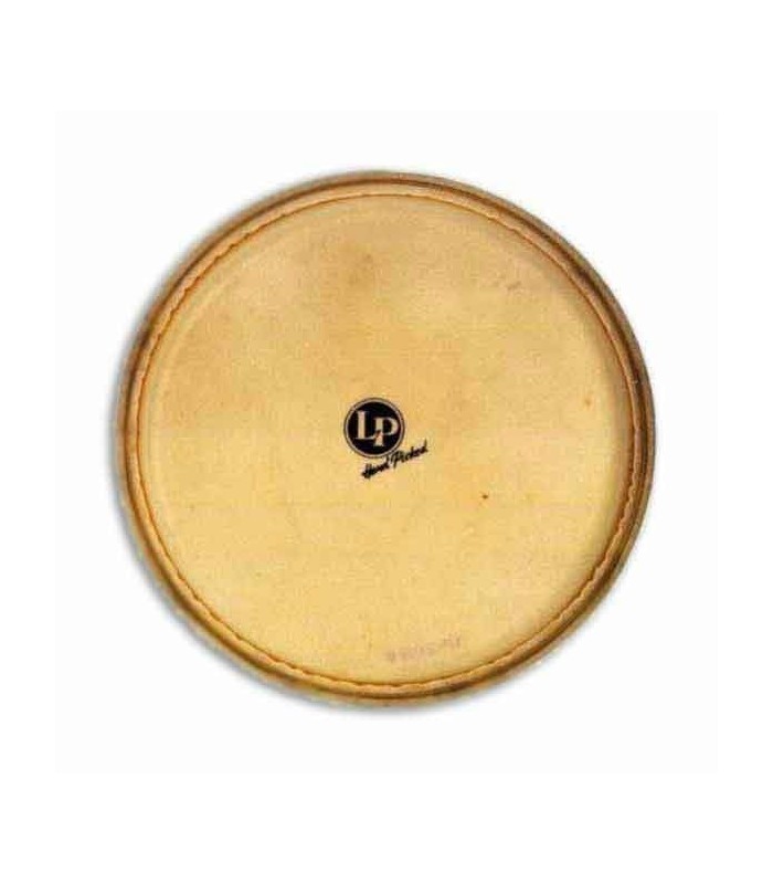 LP Quinto Head LP274AE Galaxy Giovanni Synthetic