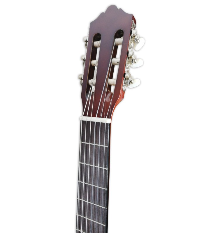 Head of the classical guitar Ashton model CG44CEQAM