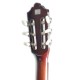 Guitarra Clásica Ashton CG44CEQAM Cutaway Eq Afinador Amber