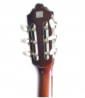 Guitarra Clásica Ashton CG44CEQAM Cutaway Eq Afinador Amber