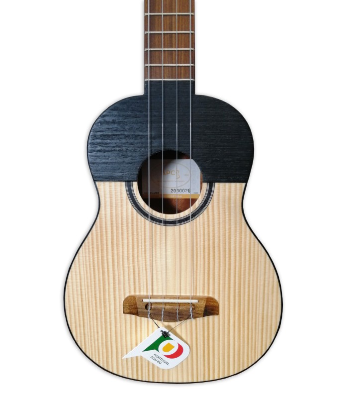 Top of the Venezuelan cuatro APC model CUA100