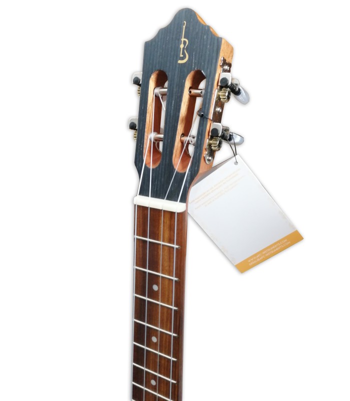 Head of the Venezuelan cuatro APC model CUA100