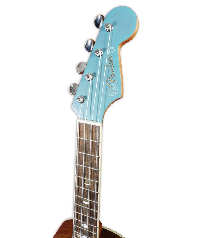 Head of the tenor ukulele model Fender model Dhani Harrisson Turquoise
