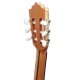Clavijero de la guitarra clásica Paco Castillo modelo 224 CE