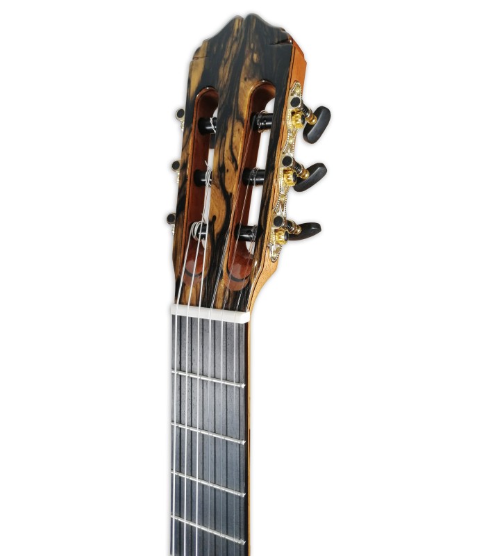 Head of the classical guitar Raimundo model 133