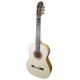 Photo of the guitar Raimundo model 133 with spruce top