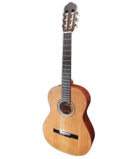 Foto de la guitarra clásica Raimundo modelo 104B con tapa en cedro