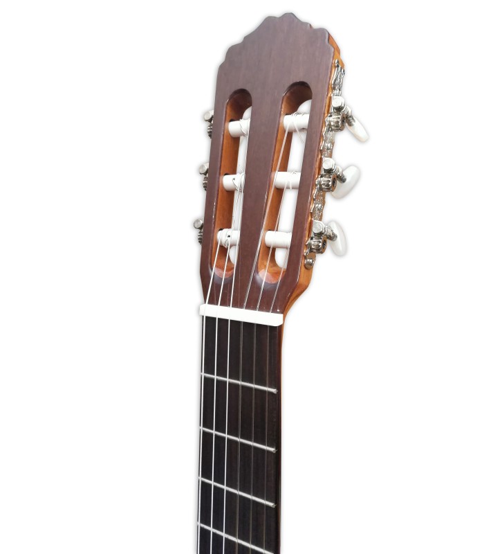 Cabeza de la guitarra clásica Raimundo modelo 104B