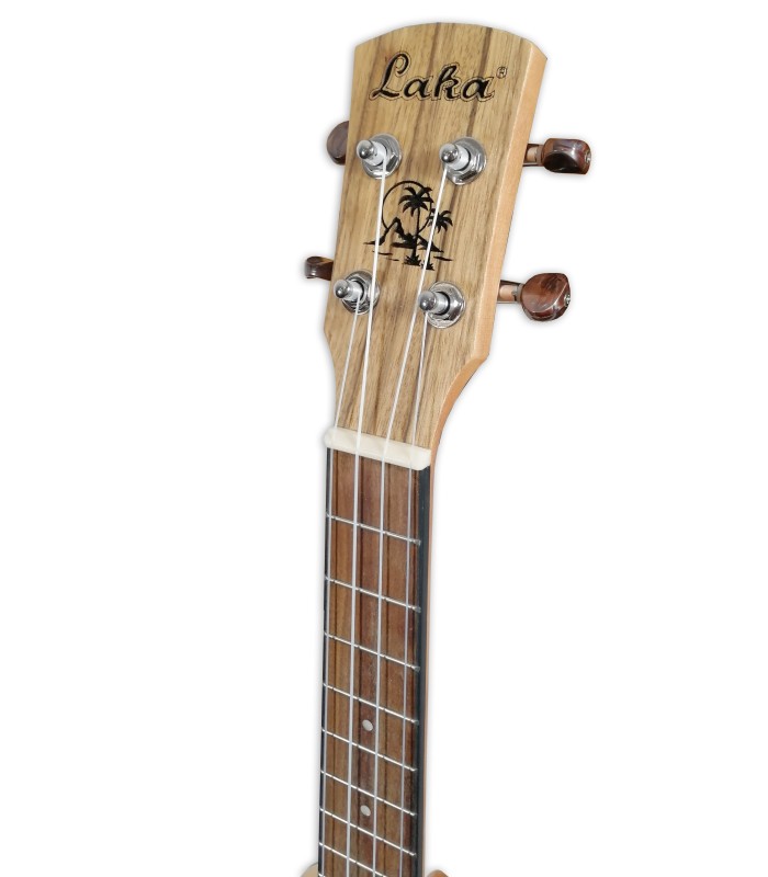 Head of the tenor ukulele Laka model VUT 25 Walnut