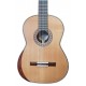 Cedar top of the classical guitar Manuel Rodríguez model Magistral F-C
