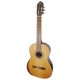 Photo of the classical guitar Manuel Rodríguez model Academia AC60 C