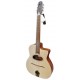 Photo of the Jazz Manouche guitar APC model JMD100 with D shaped soundhole