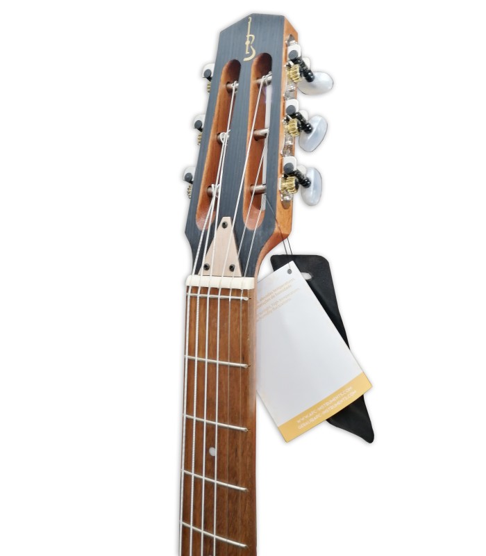 Head of the Jazz Manouche guitar APC model JMD100