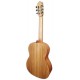 Zebrawood back and sides of the classical guitar Manuel Rodríguez Academia AC40 C