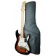 Guitarra eléctrica Fender modelo Player Plus Strat MN 3TSB con funda