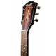 Cabeza de la guitarra electroacústica Fender modelo FA 325CE Dreadnought DAO Exotic 3TS