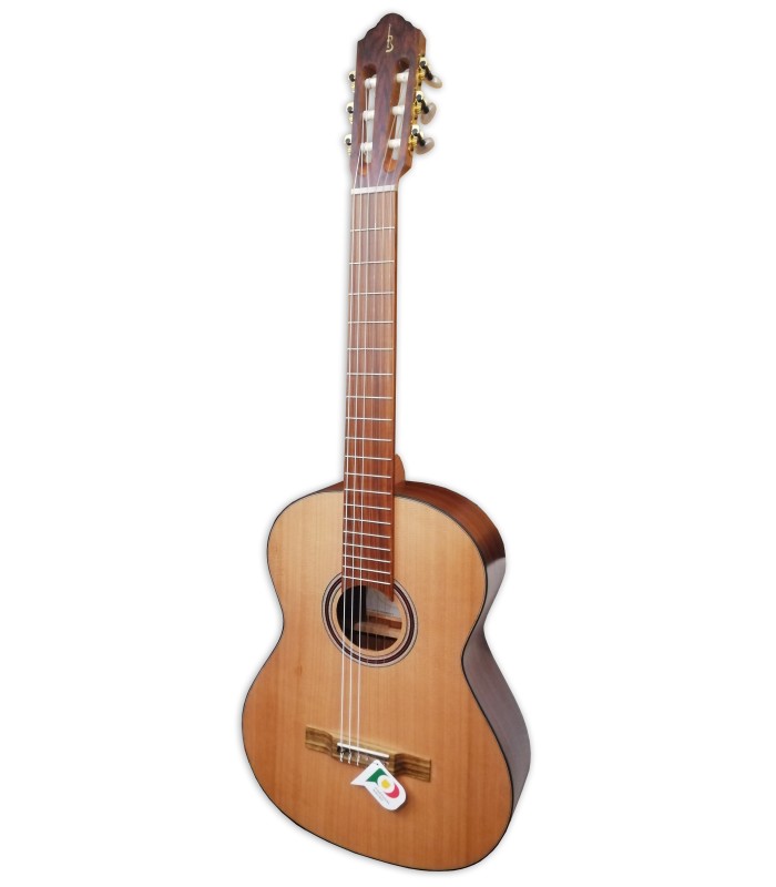 Guitarra clássica APC tampo em Cedro e fundo e ilhargas em exotic Granadillo