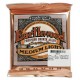 Portada del juego de cuerdas Ernie Ball modelo 2146 Earthwood para guitarra acústica calibres 012 054