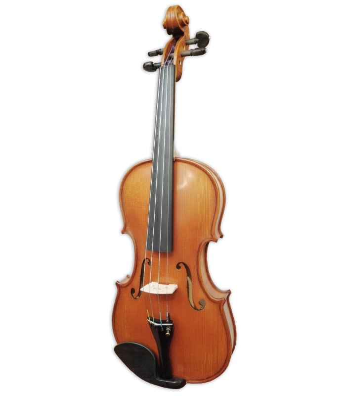 Violinos no Salão
Musical