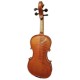 Back of the violin Gliga model Gama II 4/4 size