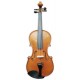 Vista frontal violino Gliga modelo Gama II de tamanho 4/4
