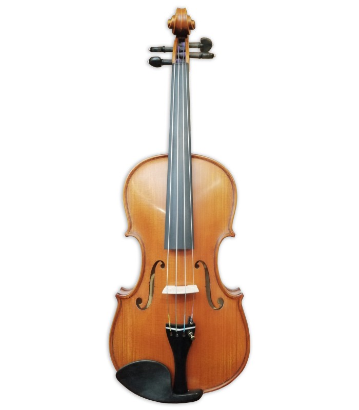 Front view of the violin Gliga model Gama II 4/4 size