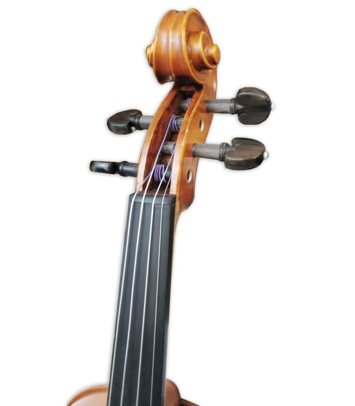 Cabeza del violín Gliga modelo Gama II de tamaño 4/4