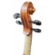 Pegs of the violin Gliga model Gama II 4/4 size