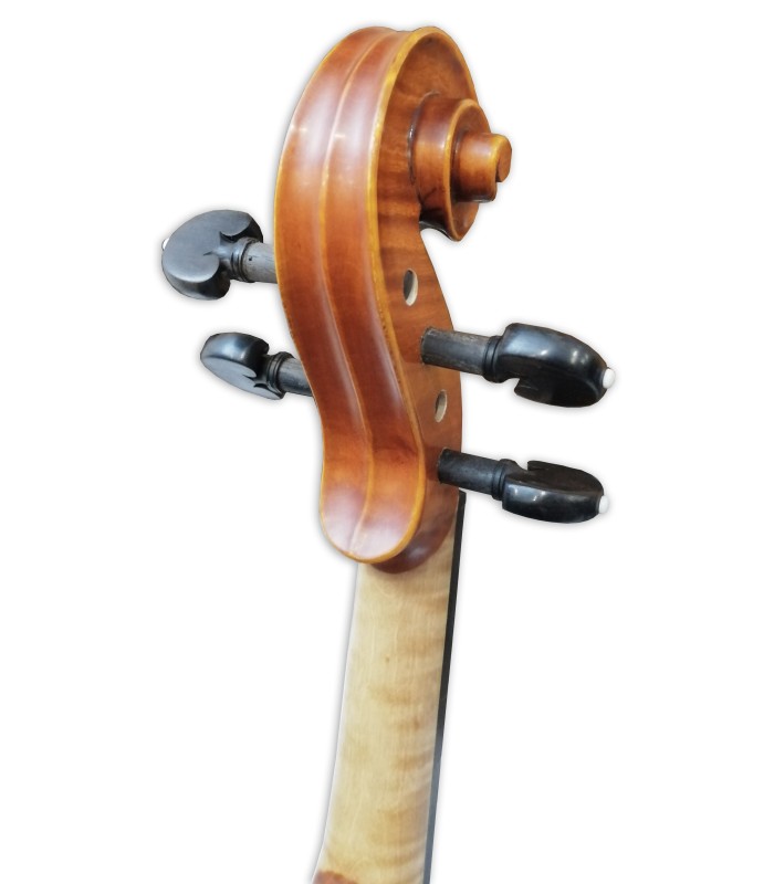 Pegs of the violin Gliga model Gama II 4/4 size