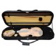 Case Rapsody model Elegance Rectangular with a 4/4 violin
