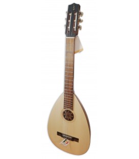Guitarra Lute APC modelo LUTG306