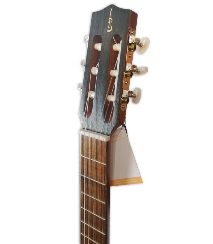 Head of the guitar Lute APC model LUTG306