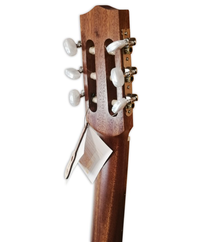 Clavijero de la guitarra Laúd APC modelo LUTG306