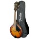 Mandolin Fender model PM 180E Aged Cognac Burst finish with bag