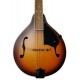 Spruce top of the mandolin Fender model PM 180E Aged Cognac Burst finish