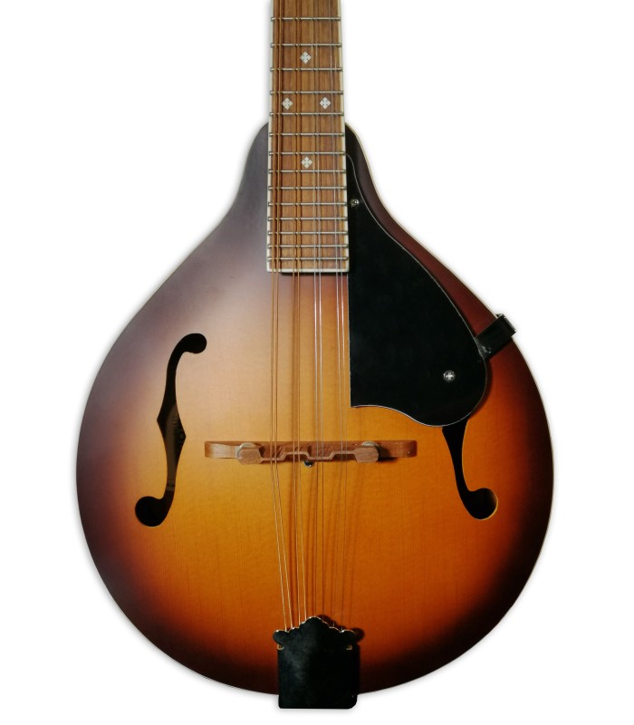 Spruce top of the mandolin Fender model PM 180E Aged Cognac Burst finish
