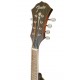 Head of the mandolin Fender model PM 180E