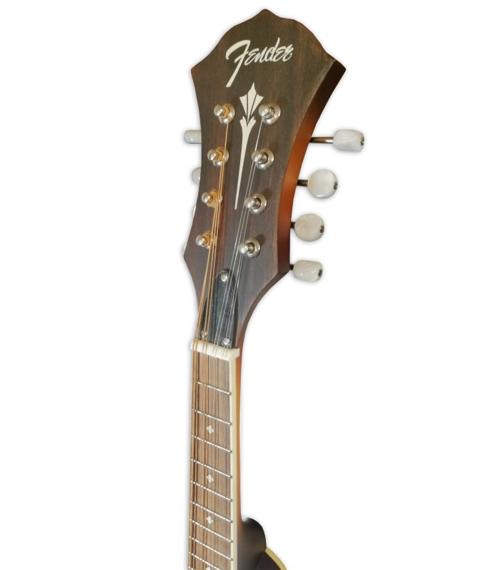 Head of the mandolin Fender model PM 180E