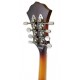 Machine head of the mandolin Fender model PM 180E