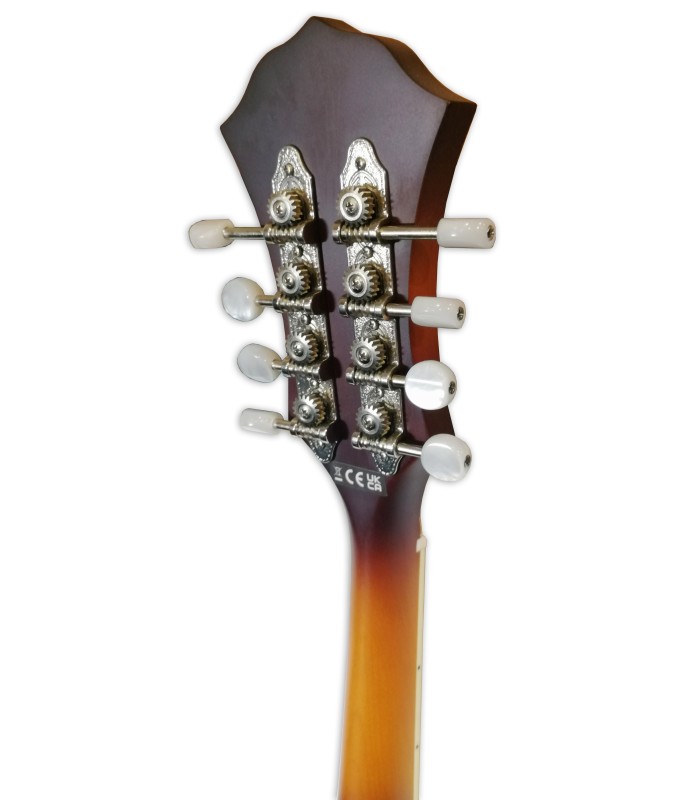 Machine head of the mandolin Fender model PM 180E