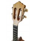 Cabeça do cavaquinho brasileiro Artimúsica modelo CV50S