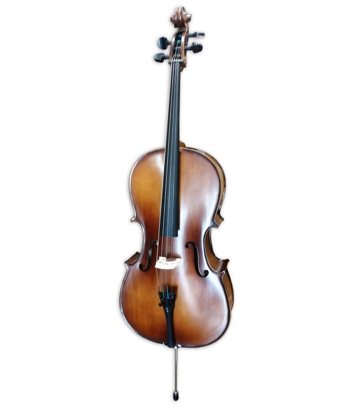 Cello Stentor model Student II SH 1/4 size