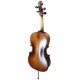 Back of the cello Stentor model Student II SH 1/4