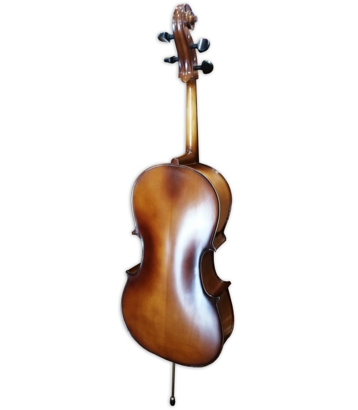 Back of the cello Stentor model Student II SH 1/4