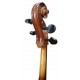 Cabeza del violonchelo Stentor modelo Student II SH 1/4