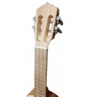 Cabeça do cavaquinho Artimúsica modelo CV10B Base
