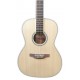 Spruce top of the electroacoustic guitar Takamine model GY51E New Yorker